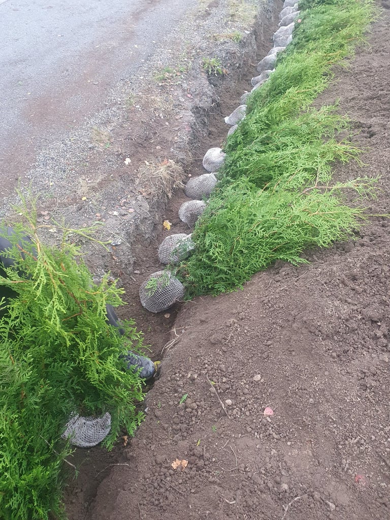 pris för Häckplantering