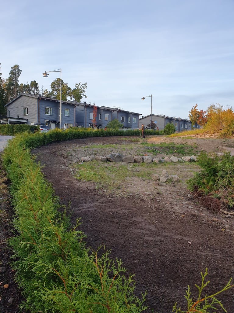 Häckplantering stockholm