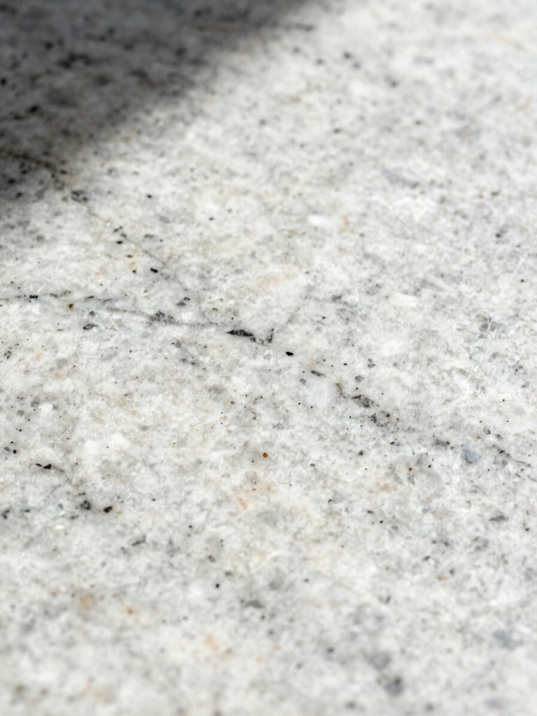Extreme close-up of Snow White granite slab surface under strong raking side light, revealing low-variation white matrix with fine dark mineral veining, high tonal contrast, no people, no room context