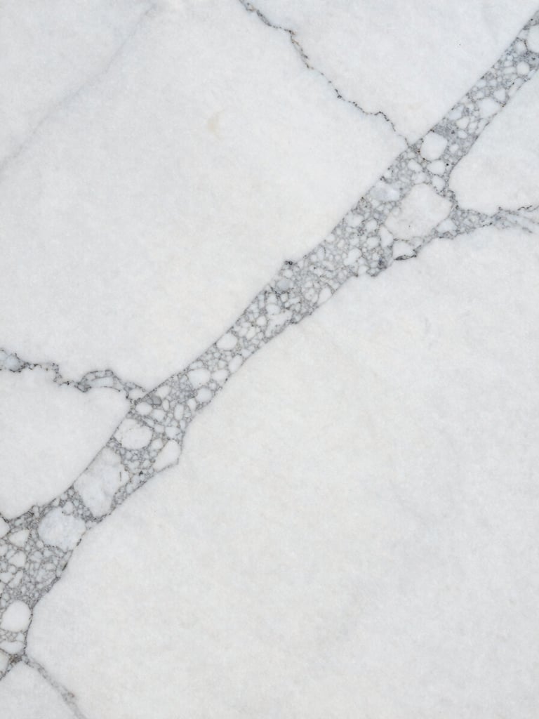 Extreme close-up of a full Carrara marble slab filling the frame from edge to edge, north-facing daylight revealing the sharp grey veining across a brilliant white ground, vein detail running diagonally to the right canvas edge, no staging, no objects, pure stone surface
