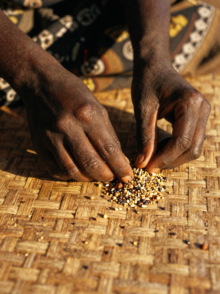 Macro close-up of a South Sudanese woman's hands carefully sorting indigenous seeds on a textured woven mat, warm natural golden-hour light, high-contrast shadows.