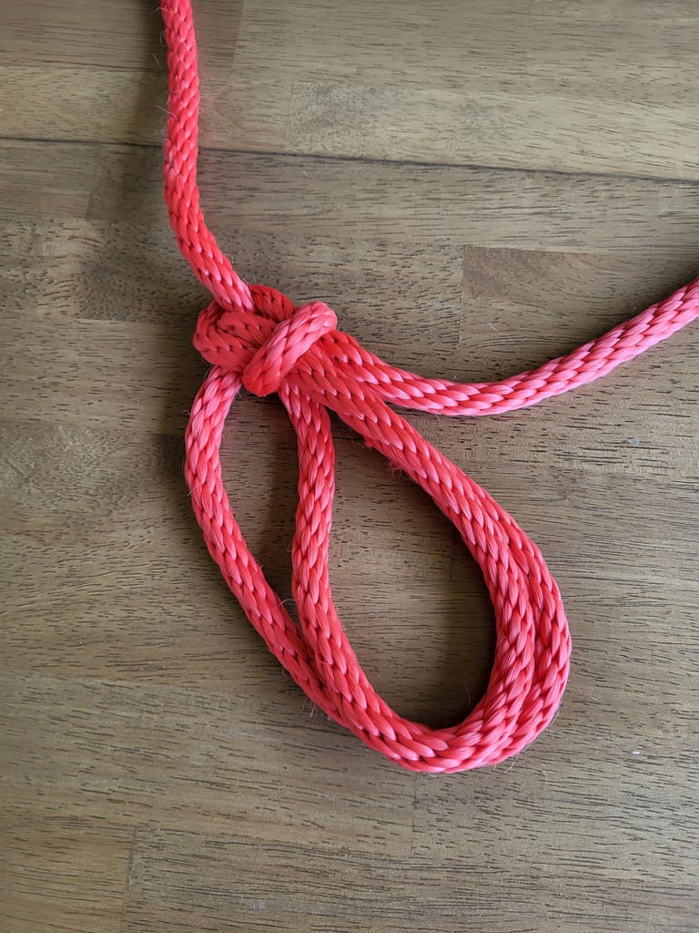 Bowline with a bight (abok 1074), tied as a double bowline