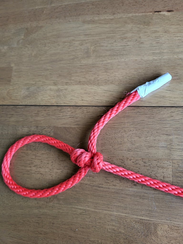 Tautline hitch showing wrap structure