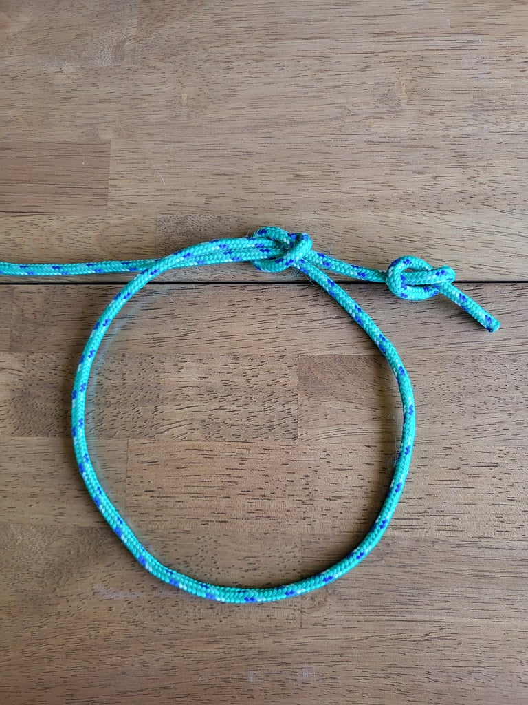 An untightened Arbor knot, showing the dual overhand stopper knot structure
