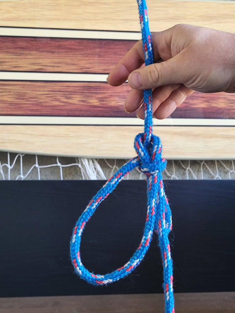 Bowline with a bight, perfect for a trucker's hitch pivot