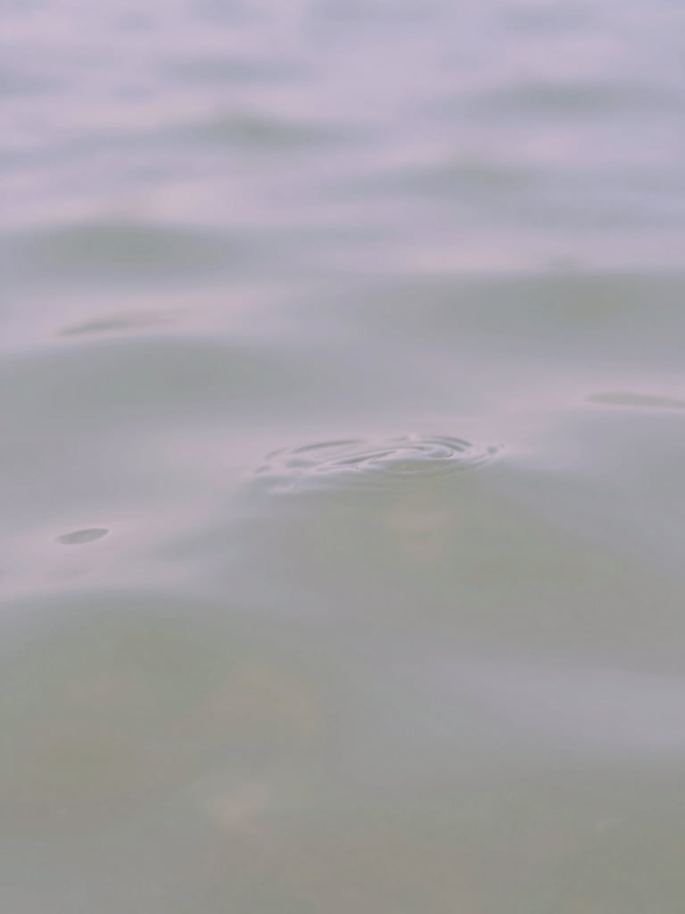 Macro close-up of gentle ripples in clear water under soft morning light, pale lavender and sage tones, extremely shallow depth of field, minimalist abstract photography