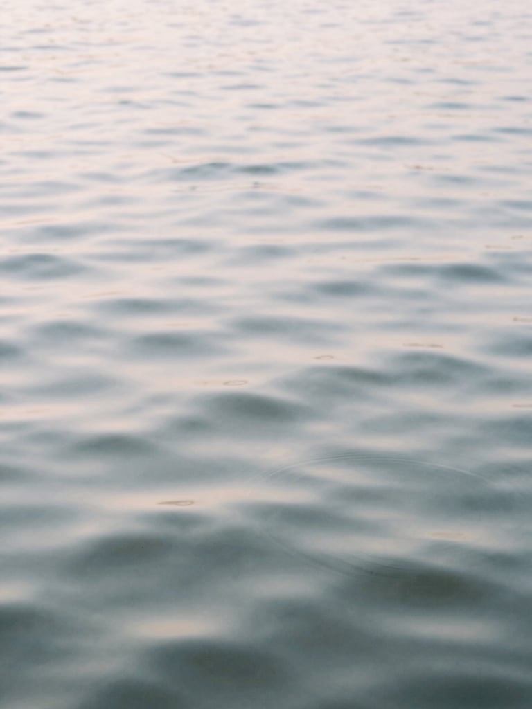 Gentle ripples in water, soft diffused morning light, pale pastel tones, shallow depth of field, 35mm