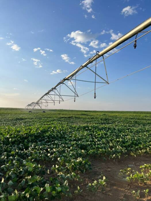 Licenciamento ambiental para plantacao com irrigação de Pivot
