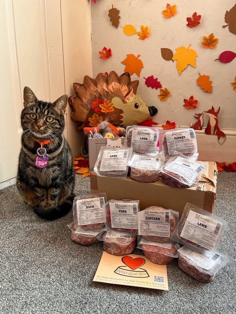 Tilly the cat looking pleased next to her Southcliffe raw cat food from Kitty's Rawr Store