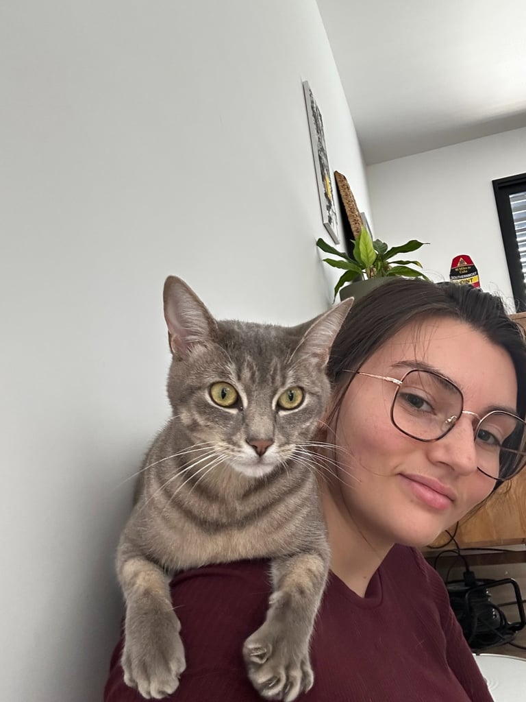 Cat sitting