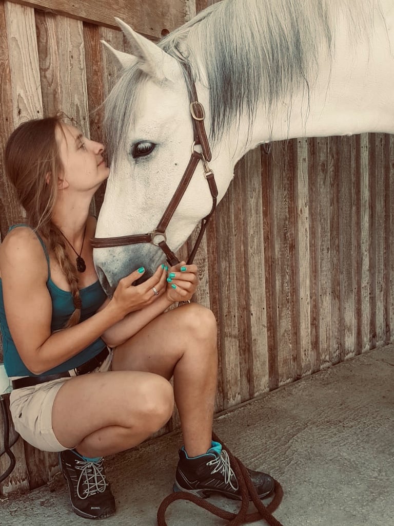 Talking to horses via Animal Communication