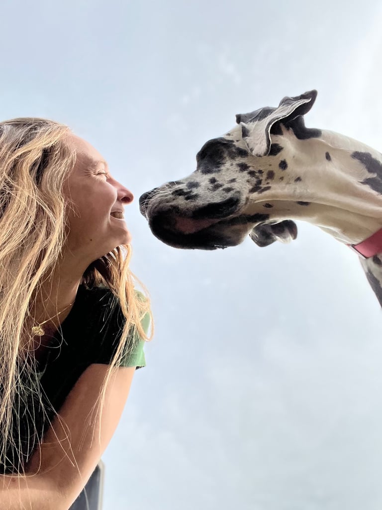 Communicating with a dog friend