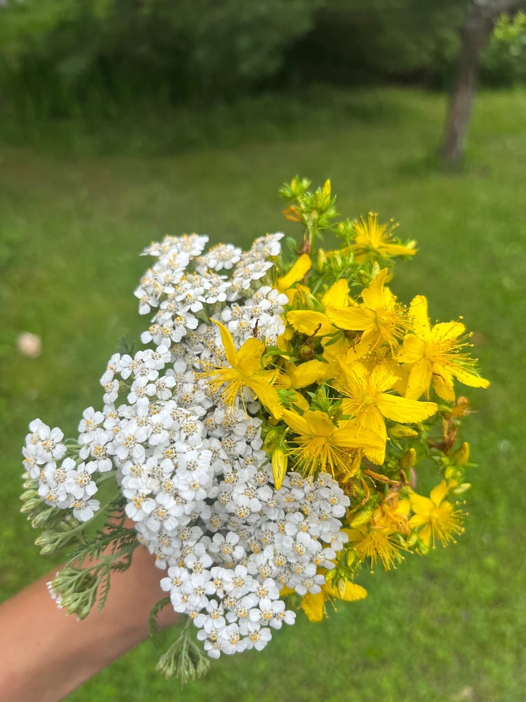 TCM herbal teas with western herbs like yarrow