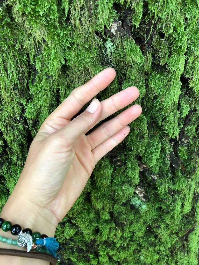 use all senses to explore and feel nature