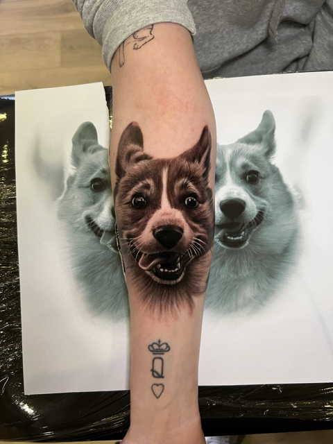 dog portrait tattoo realismo