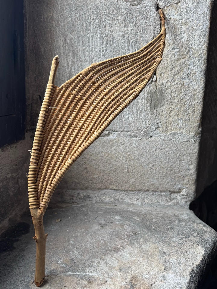 Covenant of Water IV, 2025, cane reed, plane tree branch