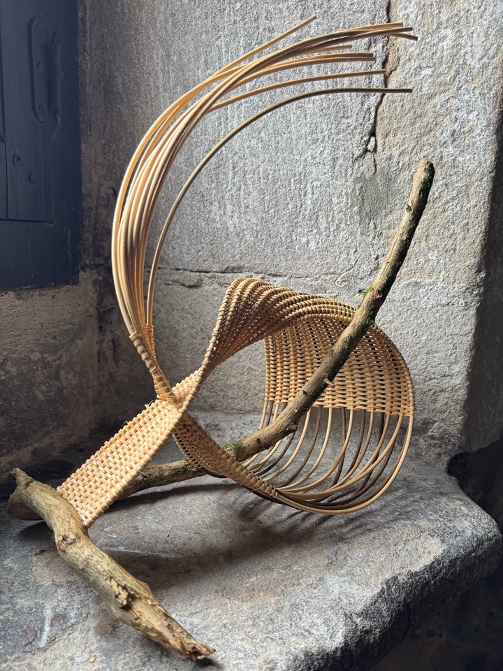 Covenant of Water III, 2025, cane, reed, plane tree branch