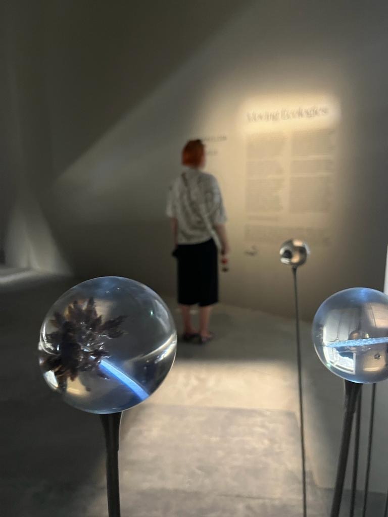 picture of the artist - Ewa Walkowska