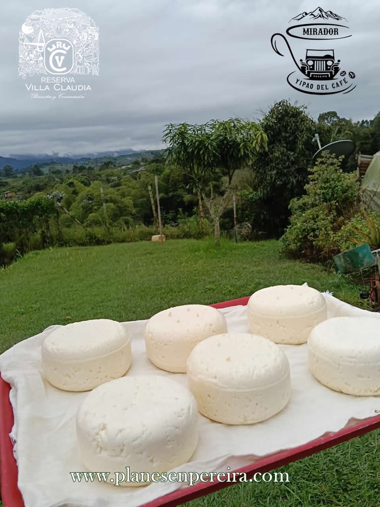 qué lugares conocer en pereira