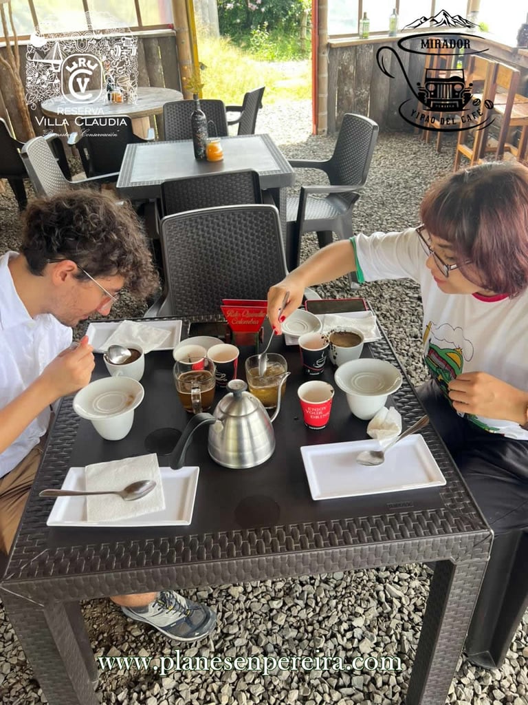 cultura del café pereira