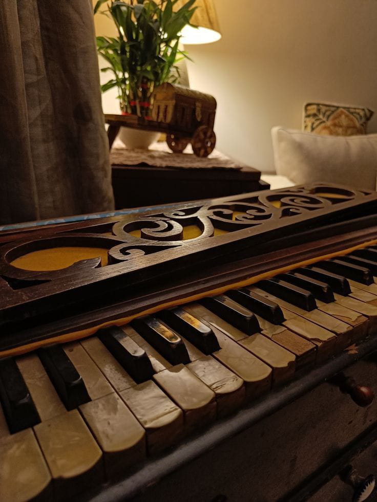 Harmonium classes in bhiwani