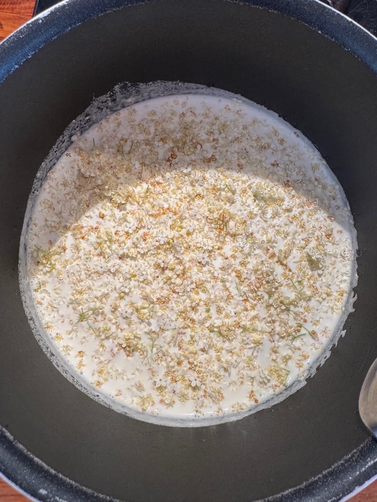 infusion creme sureau