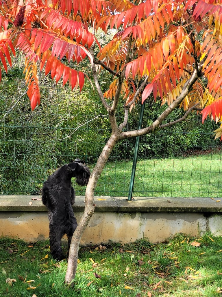 Tara , notre petite curieuse