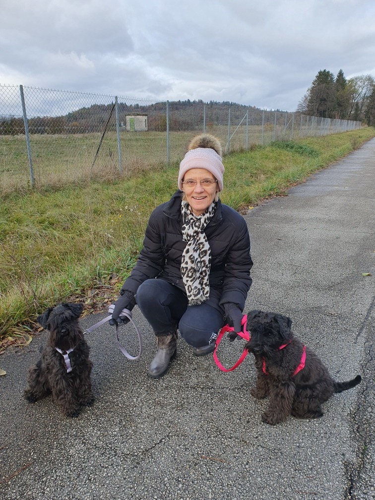 L'éleveur et ses femelles Schnauzers