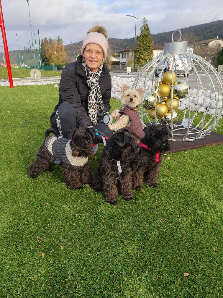 Eleveur de Schnauzers en promenade