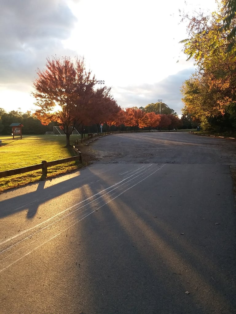 Autumn sunset over a park road lined with trees in shades of red and orange, with long shadows stret