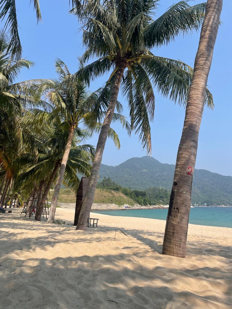 Cham Island Wietnam plaża