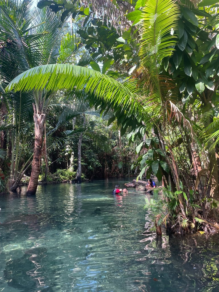 palma kajaki Tajlandia rzeka