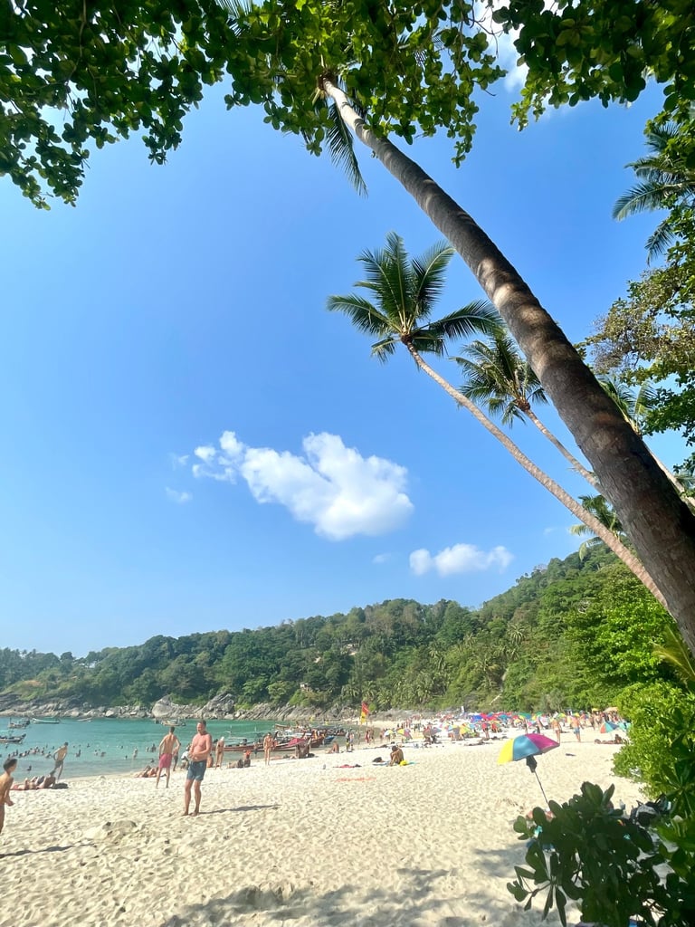 plaża z palmami Tajlandia