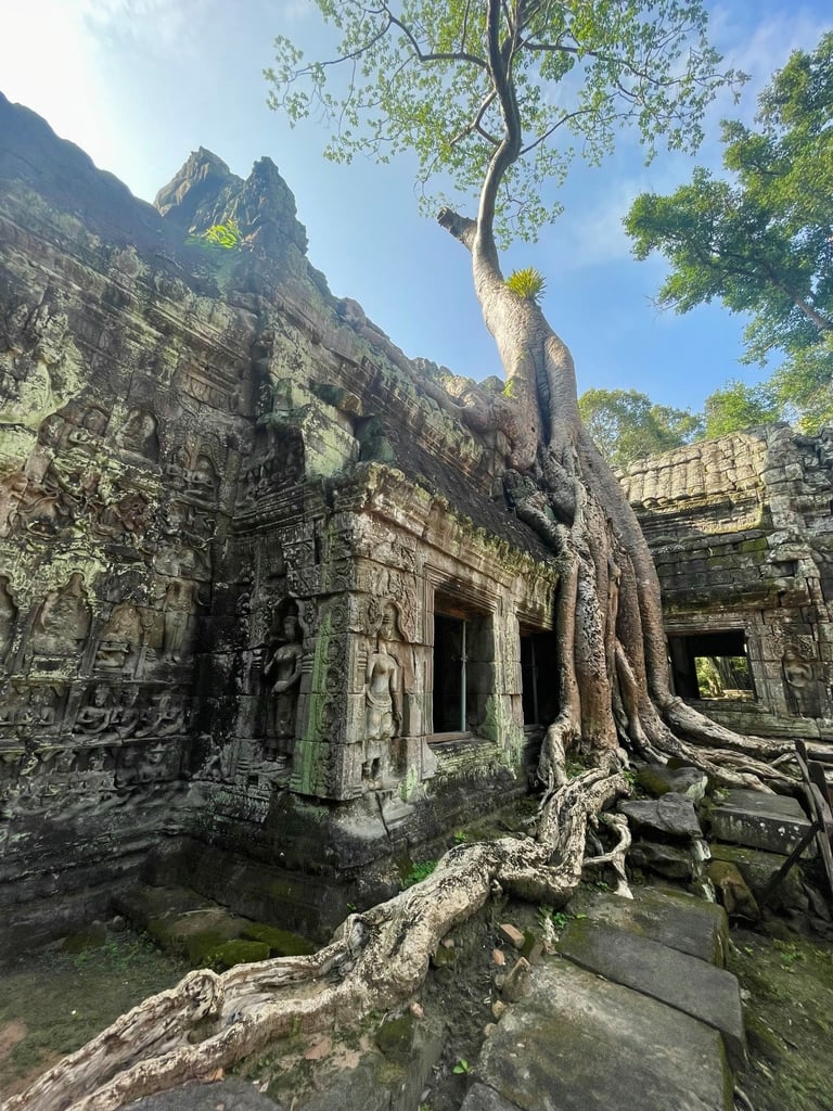 Świątynia Ta Prohm w Kambodży