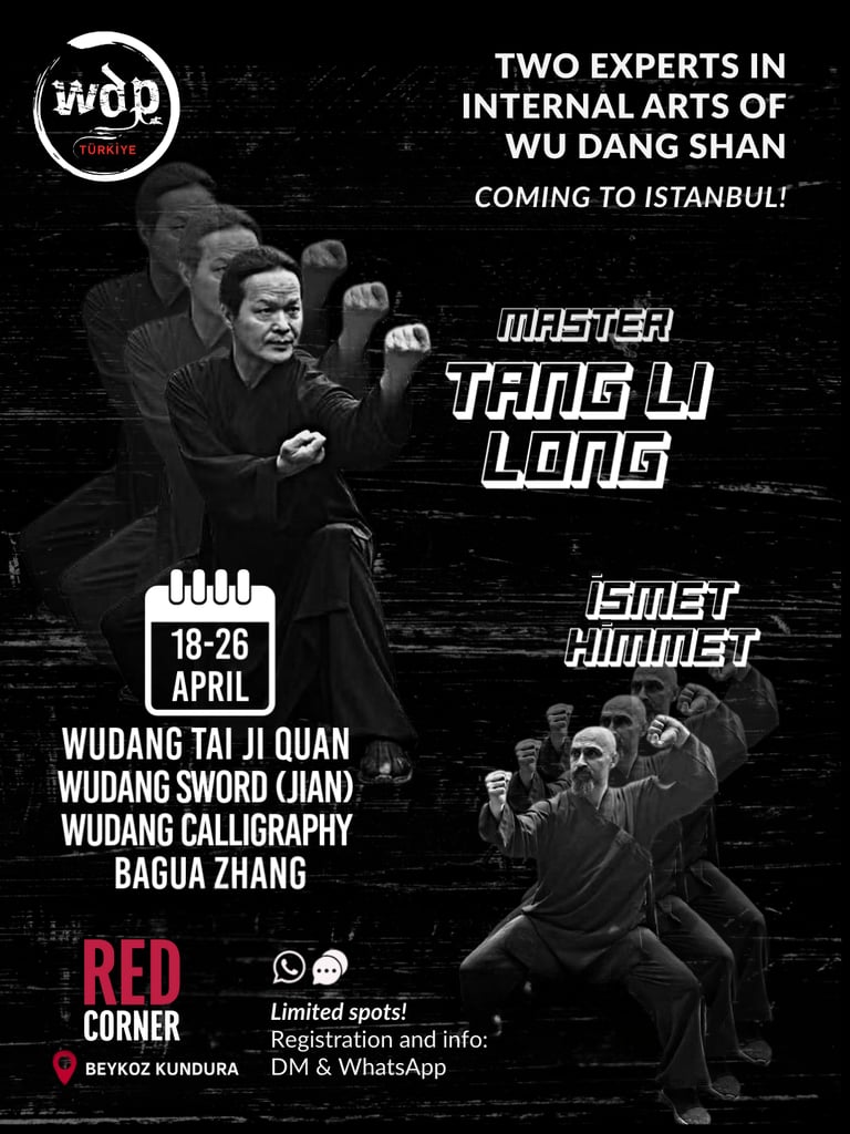 Tang Li Long İsmet Himmet Wudang WDP international seminar TaijiQuan Sword Kiliç Bagua Calligraphy 2