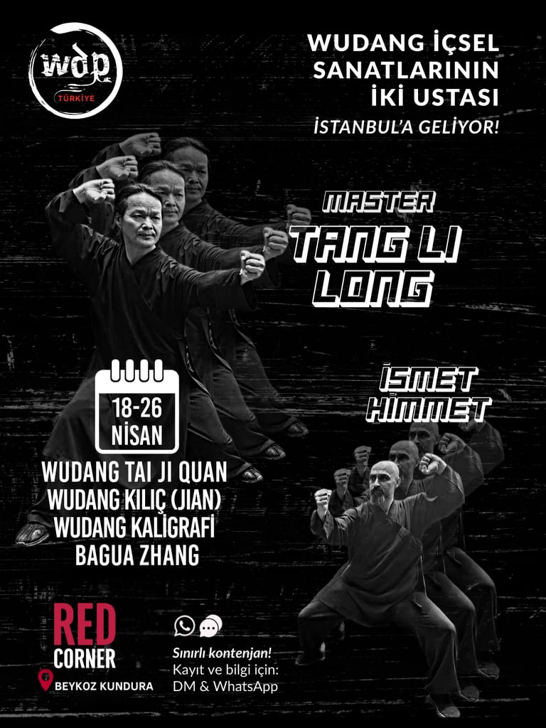 Tang Li Long İsmet Himmet Wudang WDP international seminar TaijiQuan Sword Kiliç Bagua Calligraphy 1