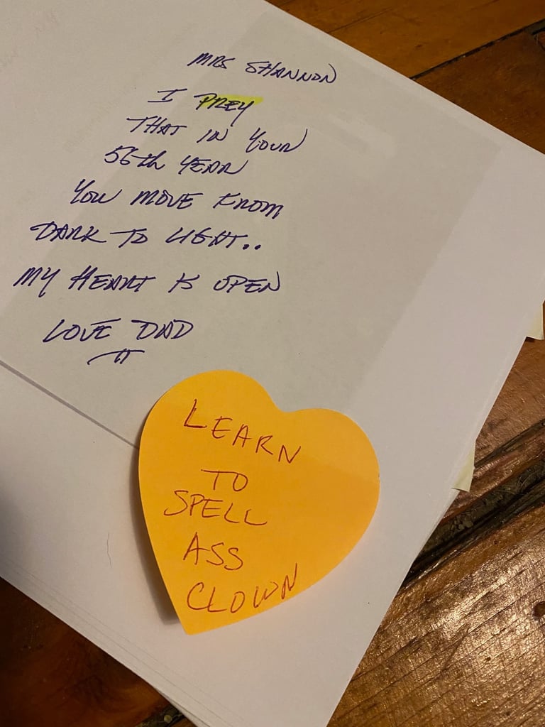 Bill Willitts Narcissistic Abuse of Shannon Falk