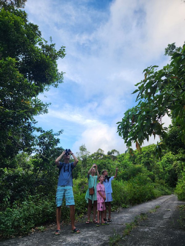 A family enjoy outdoor activity together on Son Tra, Da Nang.