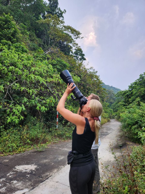 A customer with huge camera enjoy taking picture of the langur in Da Nang.