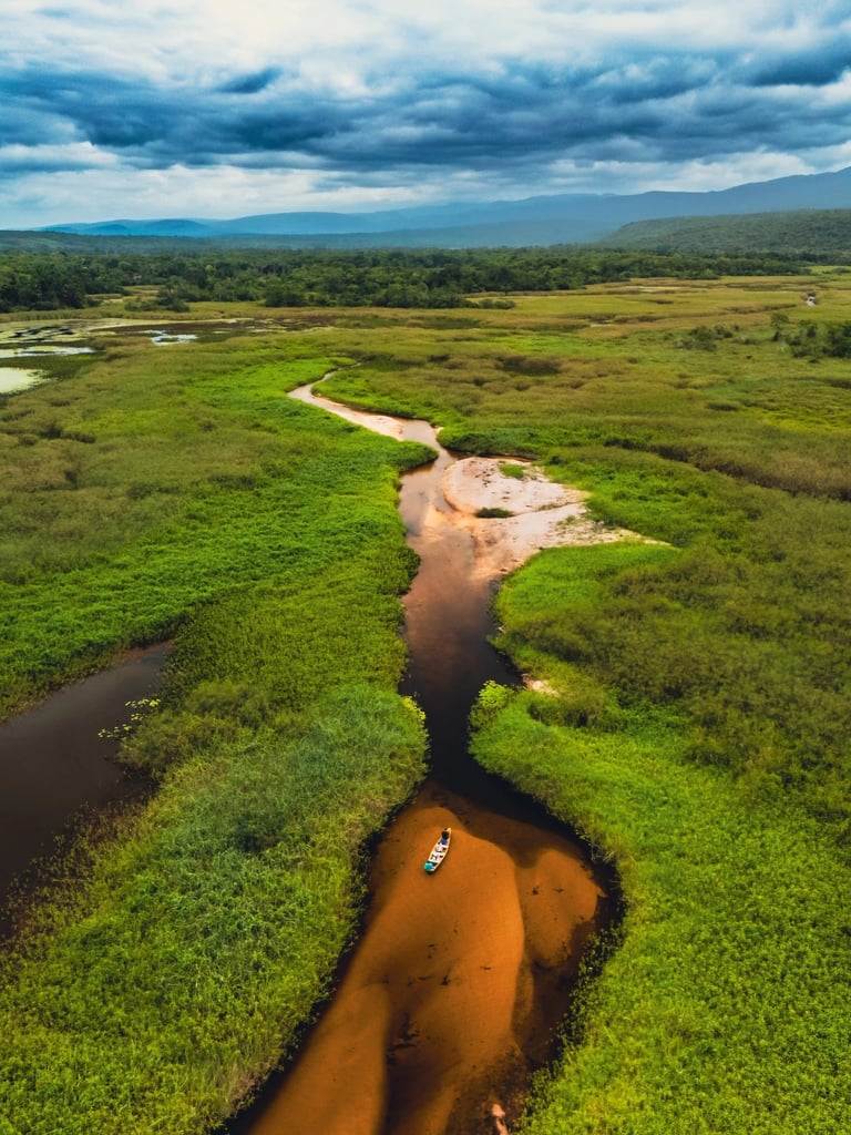 mini pantanal boat tour
