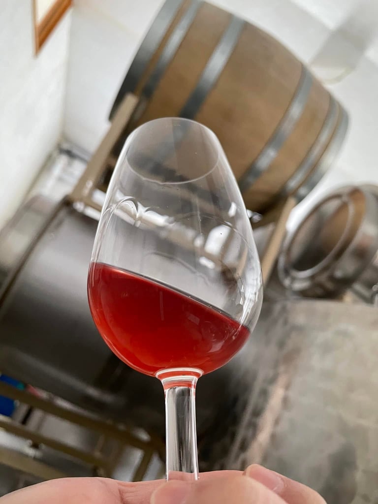 Kamisato Vineyard 上里酒庄