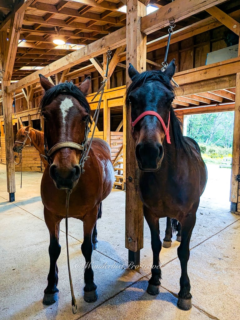 Explora Patagonia hotel private stables with horses