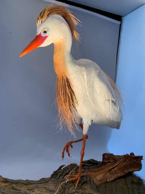 Carved by Louis Livan