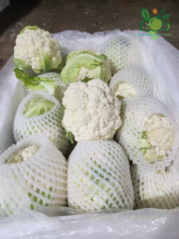 Sup-lo-trang-nhap-khau