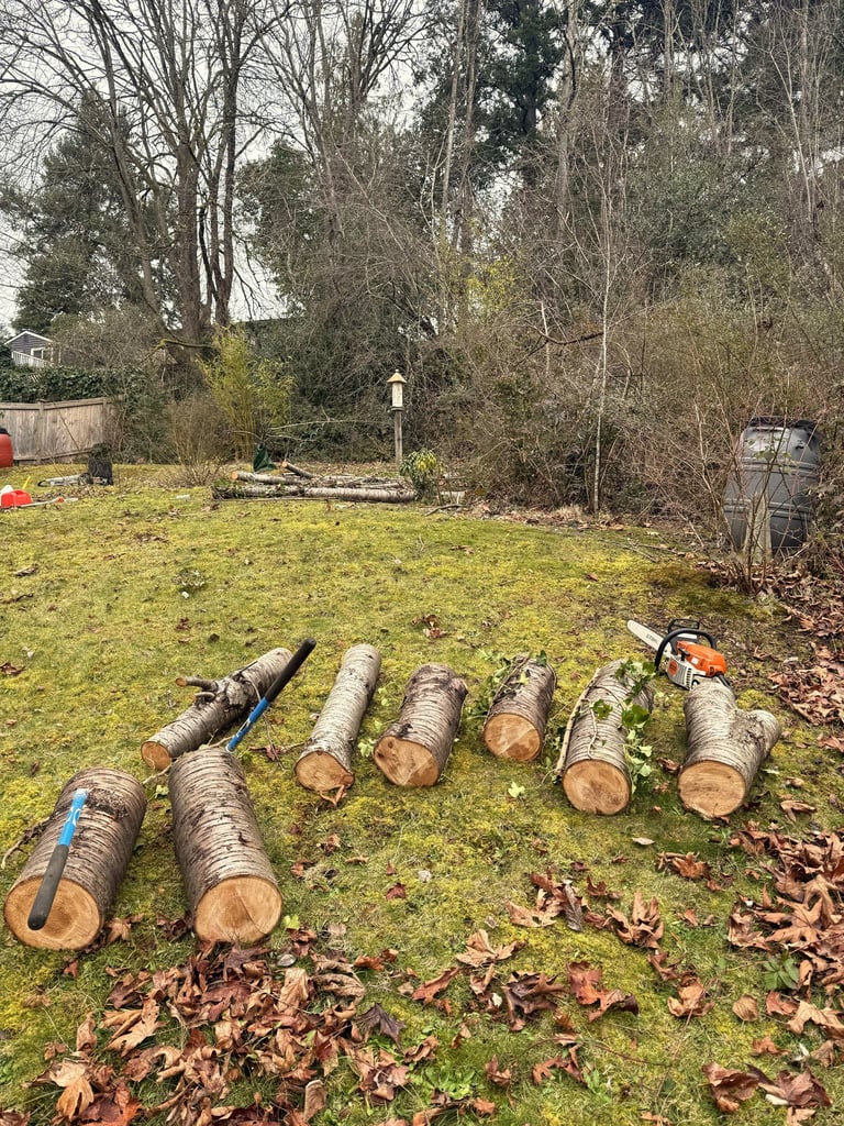 A tree removed and processed on the ground in Bothell WA