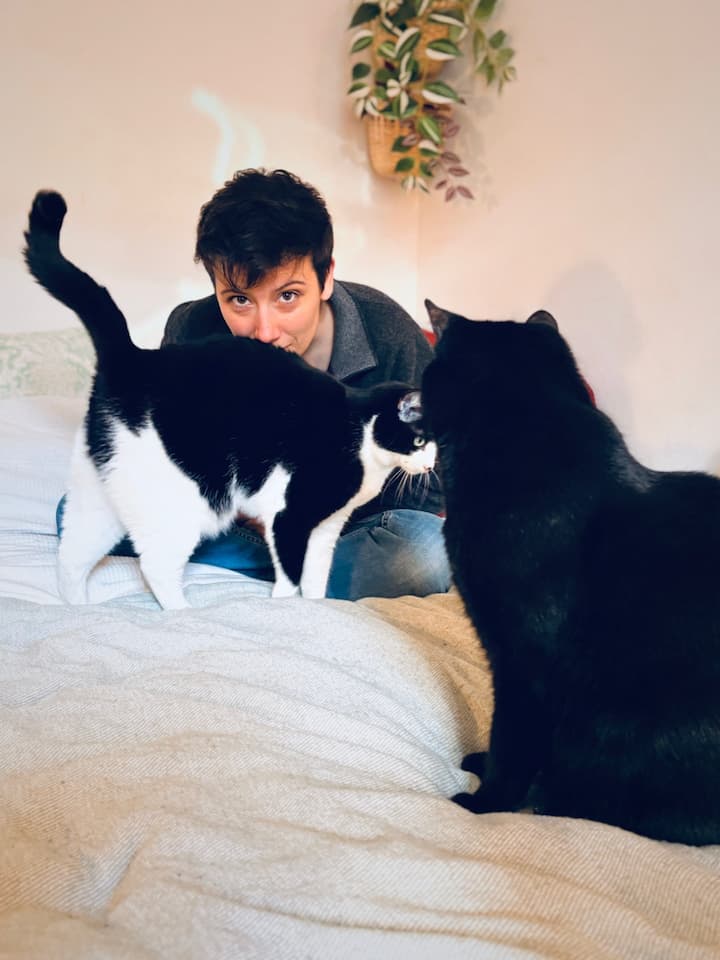 Juliette Puy Comportementaliste Chat