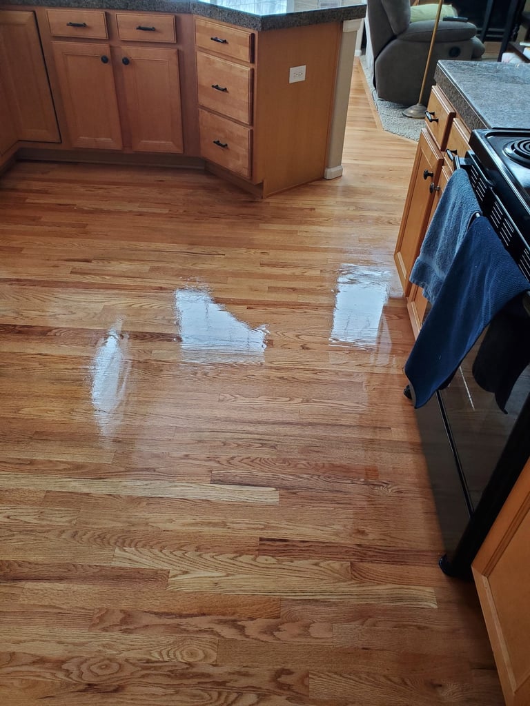 Wood floor just Cleaned and Resealed With King Organic Clean