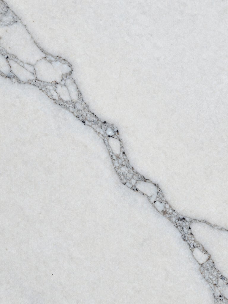 Extreme close-up macro of white Carrara marble surface, north-facing studio daylight raking across the slab from the left edge, revealing the full depth of grey veining — branching capillaries of mineral trace running diagonally across the frame, the stone filling the entire composition with no background visible, grain texture crisp under soft natural illumination