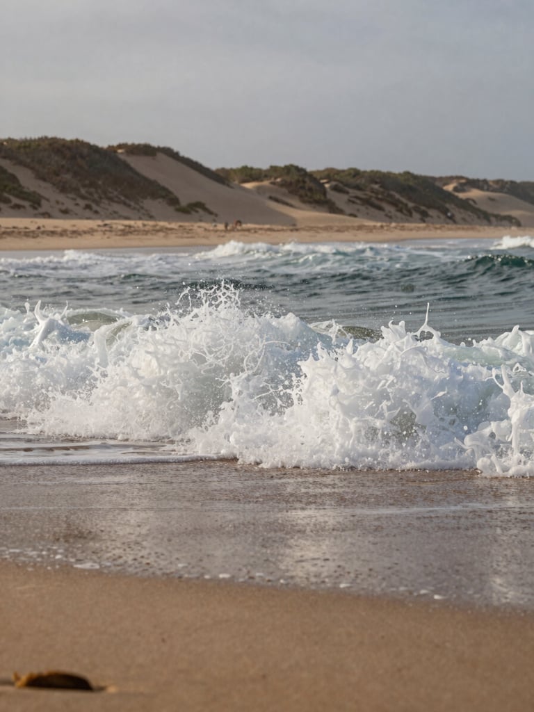 Close environmental shot at early morning, overcast coastal light, a wave breaking over a shallow sandbar at Praia do Amor — the whitewater rushing toward camera, the dune ridge visible in the soft background, no people in frame, natural texture of wet sand in the foreground