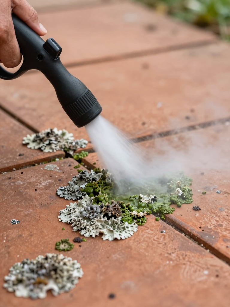 Close-up medium shot of a steam cleaning nozzle held close to a lichen-encrusted terracotta tile, a jet of low-pressure steam dissolving green biological matter, soft natural daylight, detail of the tile texture visible beneath the cleared area